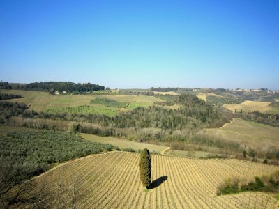 Holiday park Wine Tastings, Hills and Tuscan home - Environment photo 38