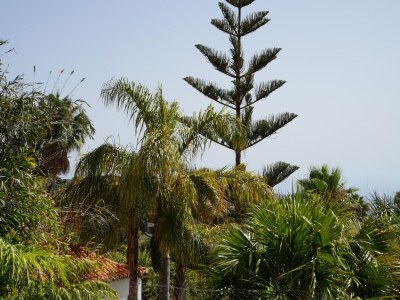 Holiday park Haus-Nr: SPC01042-DYC - Outdoor photo 5