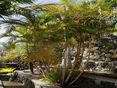 Holiday park Haus-Nr: SPC01042-DYC - Outdoor photo 8
