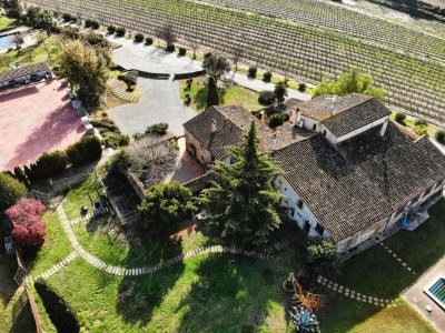 Holiday park Hütte in Subirats mit Pool & Weinbergen in Subirats - Holiday park