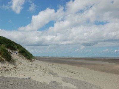 Holiday park Bungalow near Texel Coast with Garden - Environment photo 10