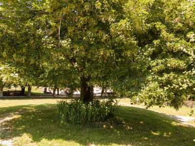 Holiday park Schloss in Chaleix mit Pool und Aussicht - Outdoor photo 8