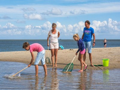 Holiday park Villa auf Texel nahe De Koog Strand - Environment photo 27