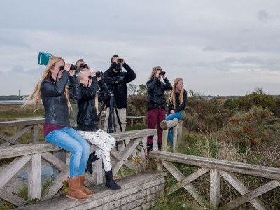 Holiday park Villa auf Texel nahe De Koog Strand - Environment photo 35