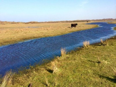 Holiday park Villa auf Texel nahe De Koog Strand - Environment photo 68