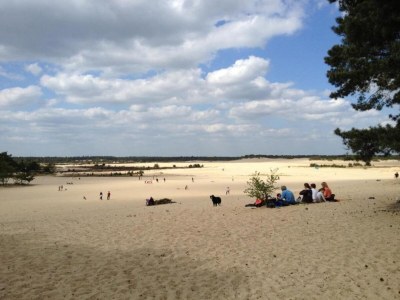 Holiday park Lodge in Duinhoeve nahe Dünen & Spielplatz - Environment photo 26