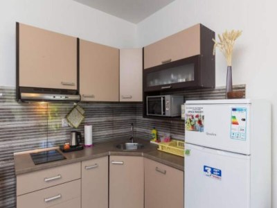Apartment Apartments Olive - Comfort One Bedroom Apartment with Terrace and Sea View - Popolica 50 - Features photo 9
