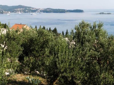 Apartment Apartments Olive - Comfort One Bedroom Apartment with Terrace and Sea View - Popolica 50 - Environment photo 16