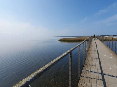 Holiday house 4 person holiday home in Ringkøbing-By Traum - Outdoor photo 37