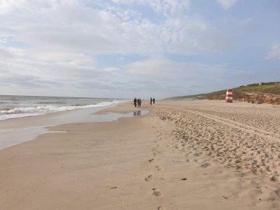 Apartment 6 person holiday home in Ringkøbing - Outdoor photo 45