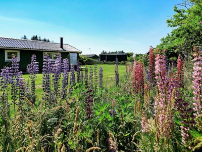 Holiday house 5 person holiday home in Hjørring - Outdoor photo 20