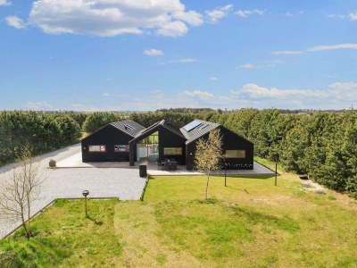 Holiday house 10 Personen Ferienhaus in Jerup-By Traum - Outdoor photo 46