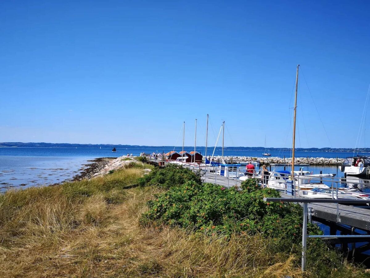 Holiday house 10 person holiday home in Ebeltoft - Outdoor photo 4