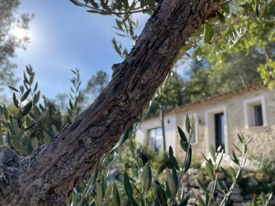 Holiday house Eva's Cabanon in Cabasse - Holiday house