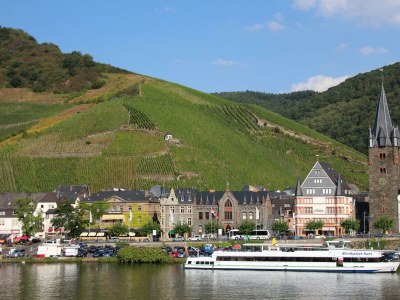 Apartment Ferienhaus Waldblick in Thalfang - Apartment