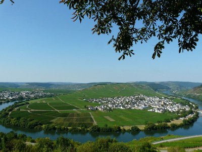 Apartment Ferienhaus Waldblick - Outdoor photo 8