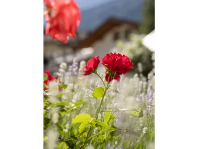Holiday apartment Donna Dolasilla - Outdoor photo 9