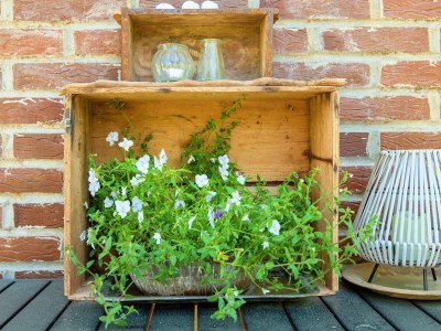 Holiday house Idyllisches Naturrefugium -- By Traum Ferienwohnungen - Outdoor photo 33