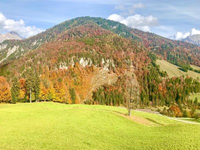 Holiday house Chalet in Hochfilzen am Skihang - Outdoor photo 5