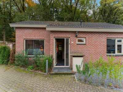 Holiday house Beautiful holiday home in Ermelo with terrace - Outdoor photo 3