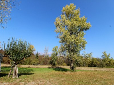 Holiday house Mountain Hideaway for Four - Outdoor photo 7