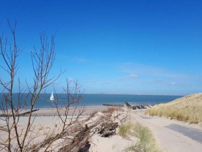Holiday park Villa in Breskens near the Beach - Environment photo 20