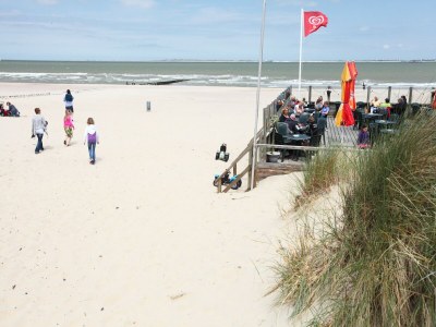 Holiday park Villa in Breskens near the Beach - Environment photo 30