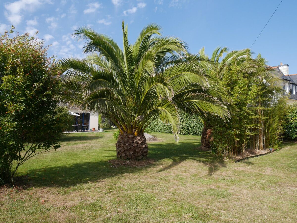 Holiday house Holiday Home in Plouneour near Sandy Beach - Outdoor photo 5