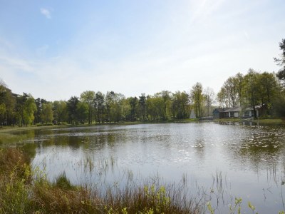 Holiday house Ferienhaus in Stramproy am Naturreservat - Environment photo 23