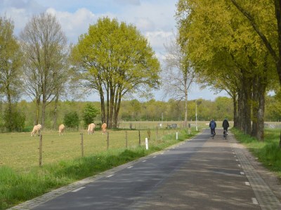 Holiday house Ferienhaus in Stramproy am Naturreservat - Environment photo 24