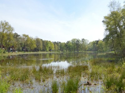 Holiday house Ferienhaus in Stramproy am Naturreservat - Environment photo 26