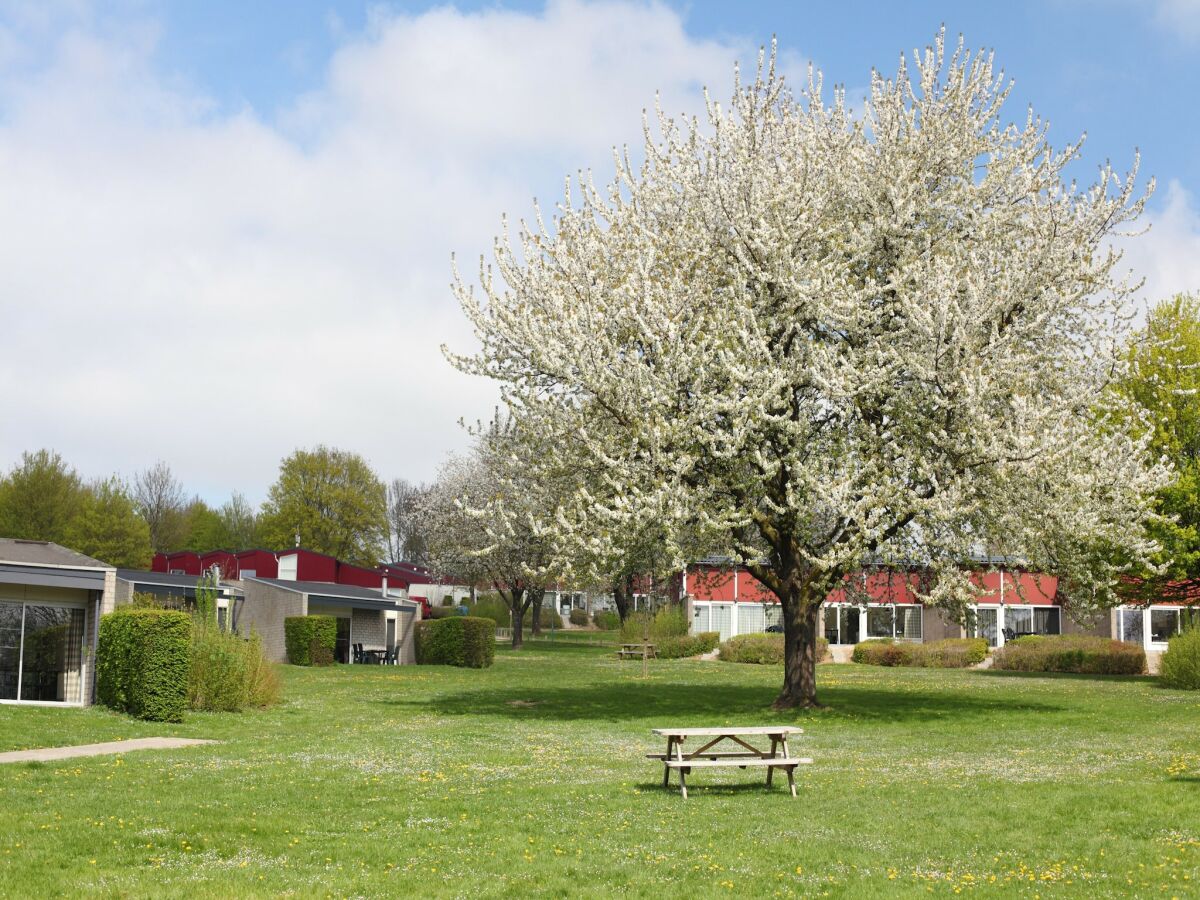 Holiday park Bungalow near Valkenburg - Outdoor photo 2