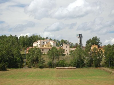 Apartment Pretty Apartment near San Gimignano - Environment photo 37