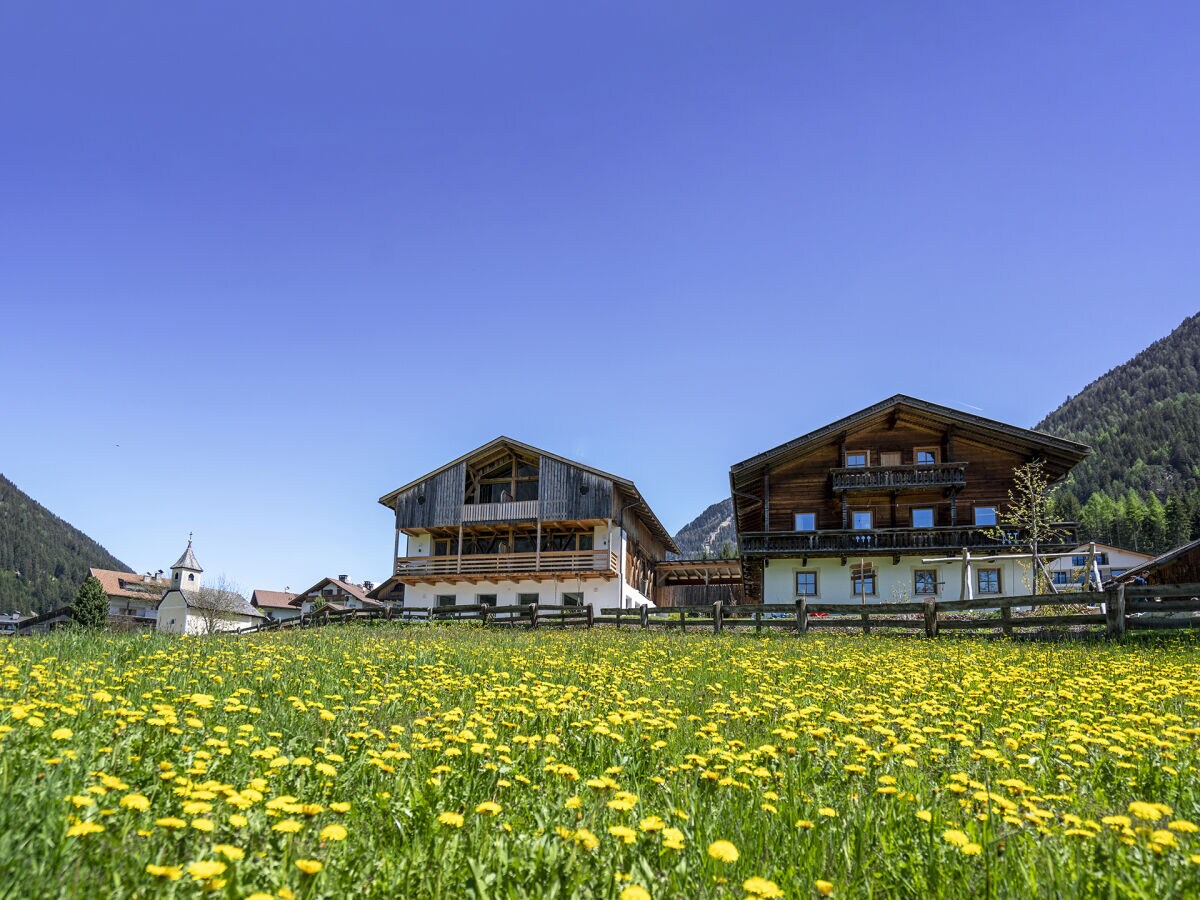 bio farm New! Hayloft Vista