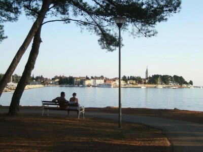 Holiday house Villa in Novigrad mit Pool und Strandnähe - Environment photo 31