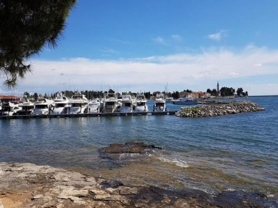 Holiday house Villa in Novigrad mit Pool und Strandnähe - Environment photo 32