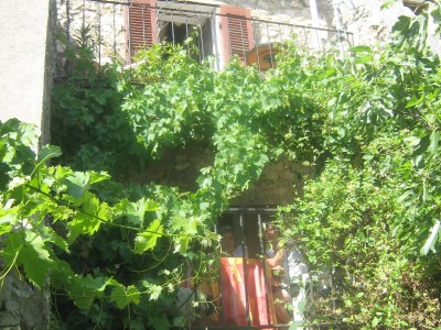 Holiday house Charming holiday home "Mon RÃªve" in Régusse - Holiday house