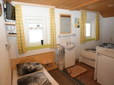 Holiday house Apartment in Hippach with Mountain Views - Outdoor photo 38