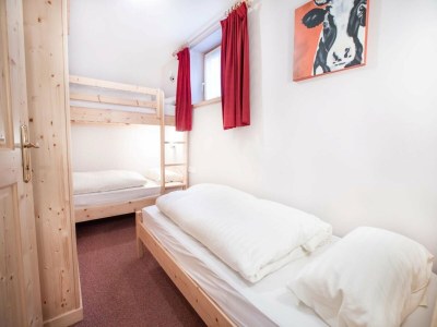Holiday house Chalet in Austria near Ski Lift & Forest - Features photo 16