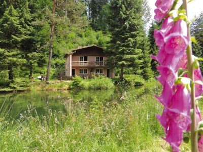 Apartment Apartment in Alsace with Private Terrace - Outdoor photo 7