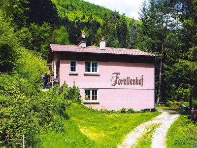 Apartment Apartment in Alsace with Private Terrace - Outdoor photo 8