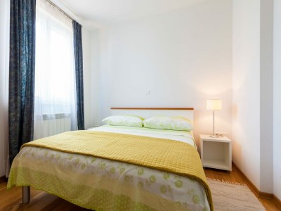 Apartment Spacious Apartment in Vantacici near Sea - Features photo 9
