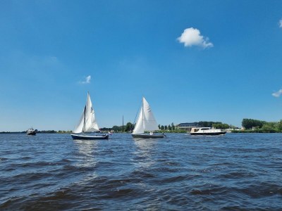 Holiday house Wasservilla in Balk am Slotermeer - Environment photo 31