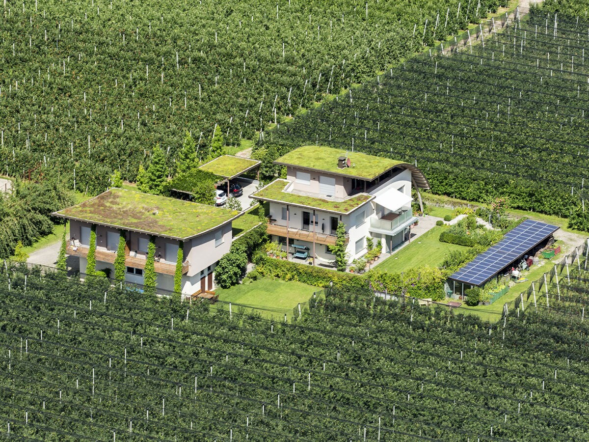 Holiday apartment Green at the Sandwiesen Farm