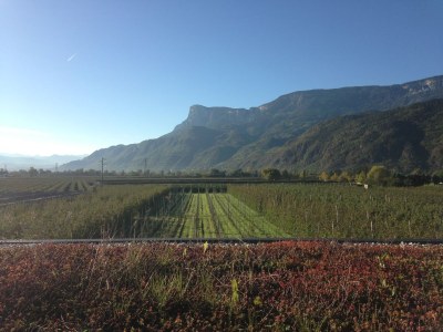 Holiday apartment Green at the Sandwiesen Farm - Outdoor photo 2