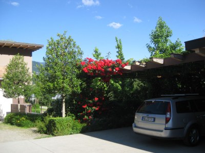 Holiday apartment Green at the Sandwiesen Farm - Outdoor photo 8