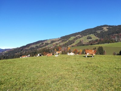 Apartment Appartement mit Panoramablick - Outdoor photo 10