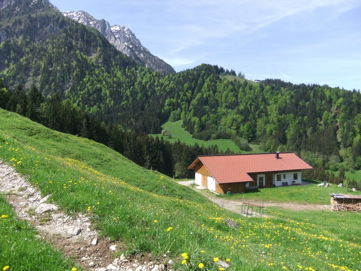 Apartment Goglalm - Outdoor photo 2