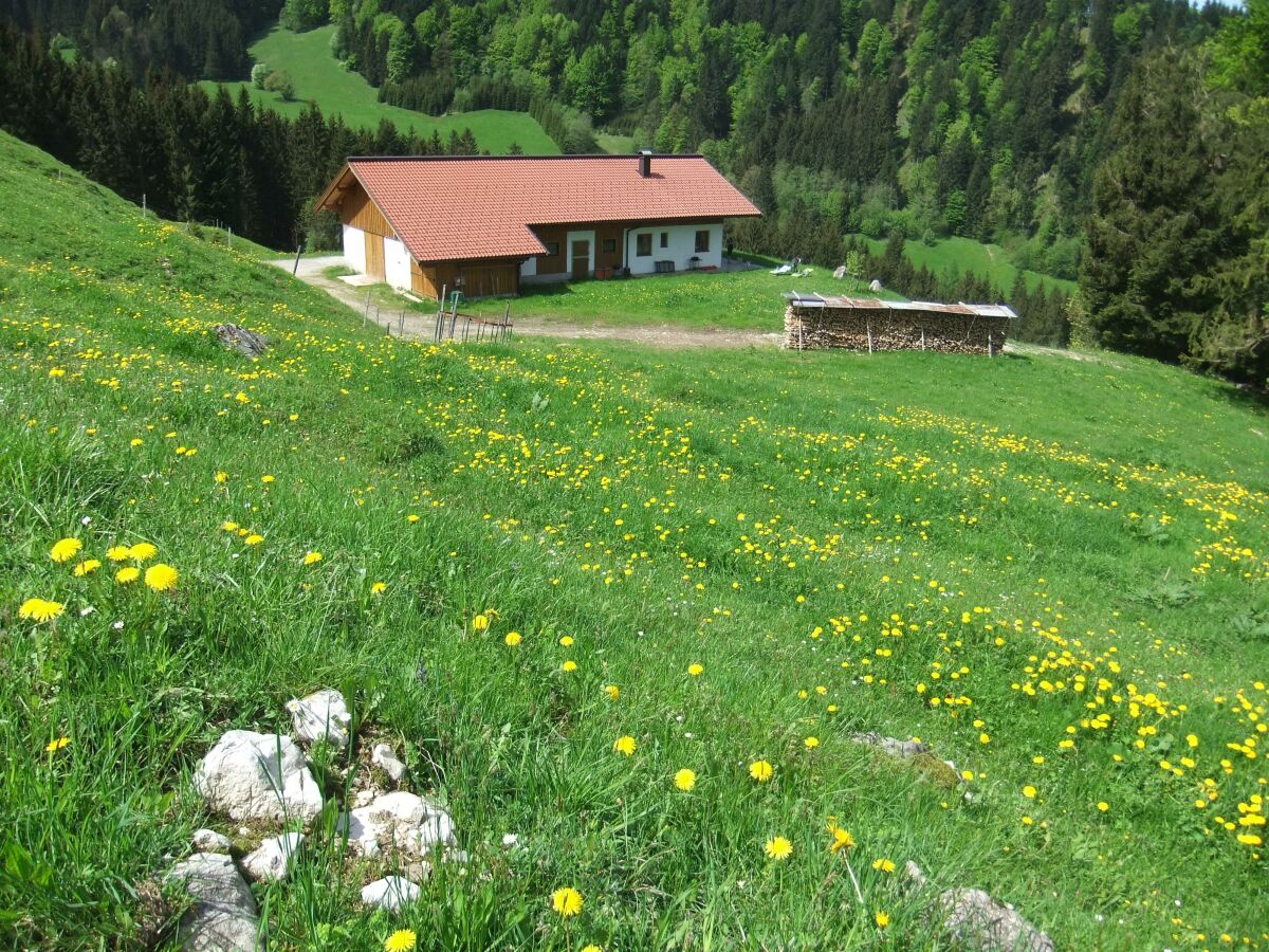 Apartment Goglalm - Outdoor photo 3