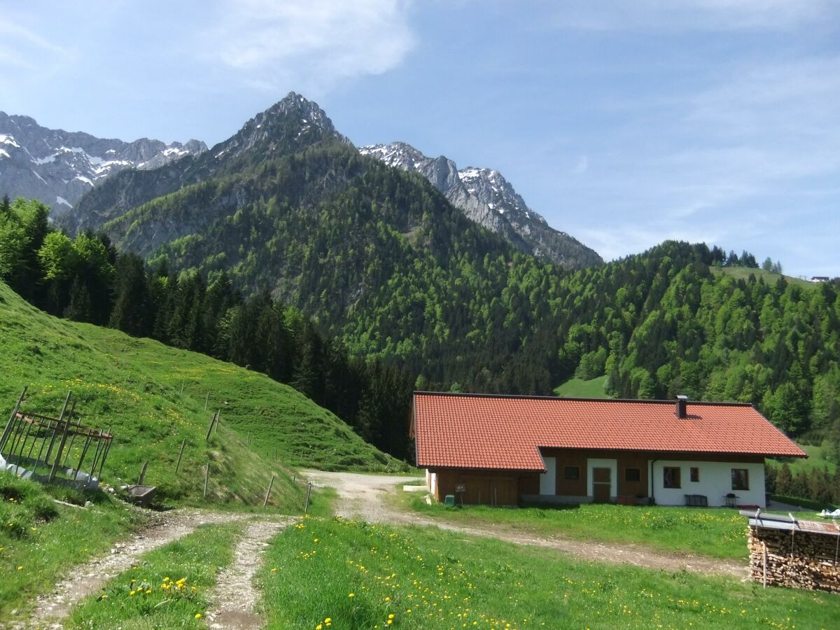 Apartment Goglalm - Outdoor photo 4